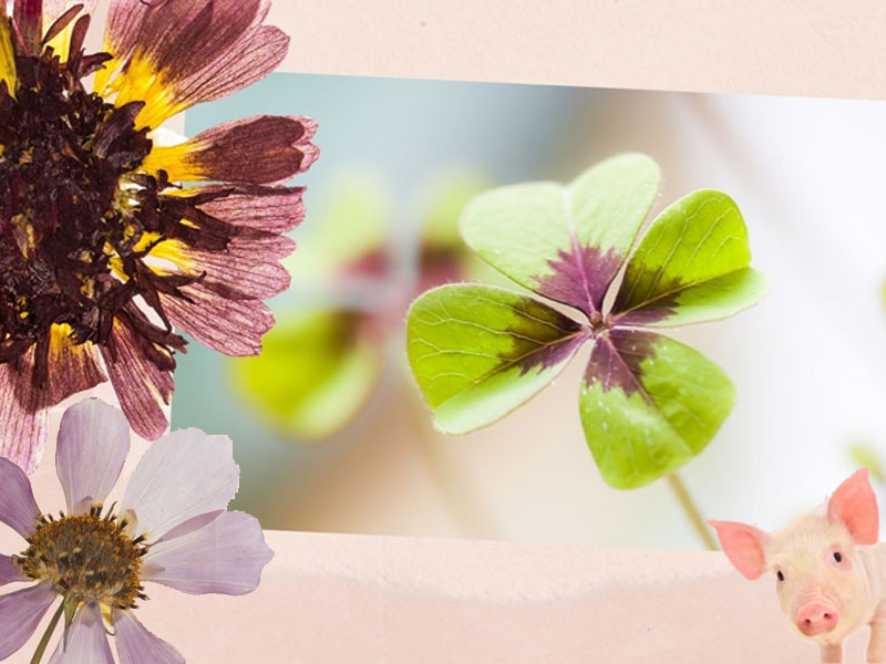 Die Sache mit dem Glück