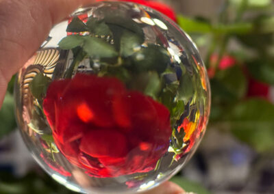 Workshop Glaskugel-Fotografie